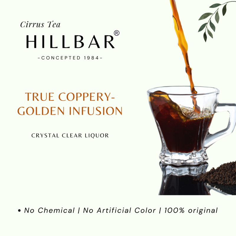 PURE INDIAN CHAI - Image 5