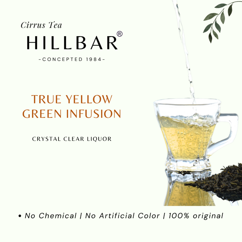 PURE GREEN TEA LEAF - Image 7