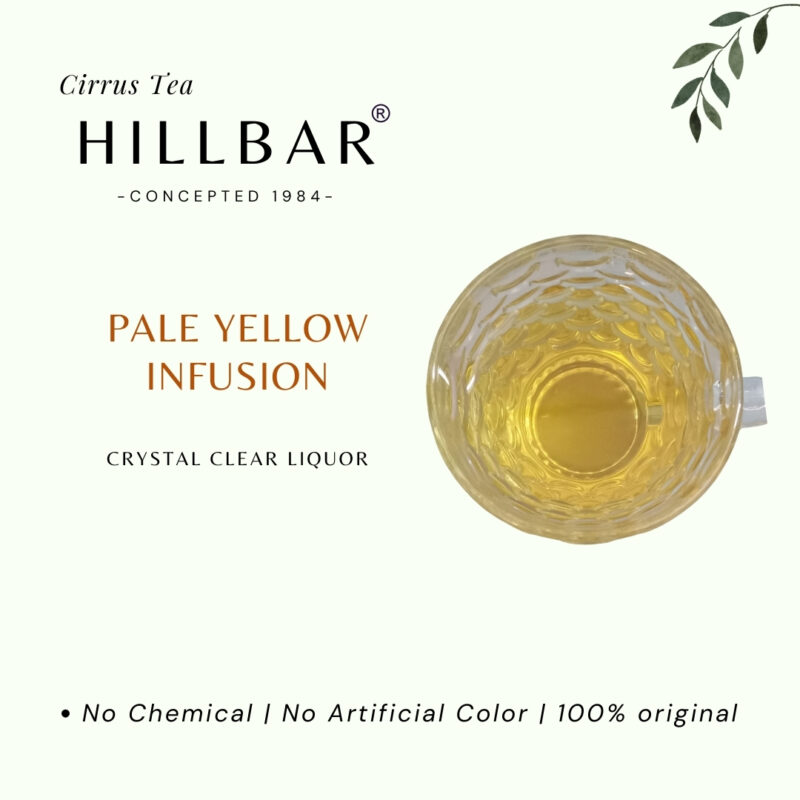 PURE GREEN TEA BAGS - Image 7
