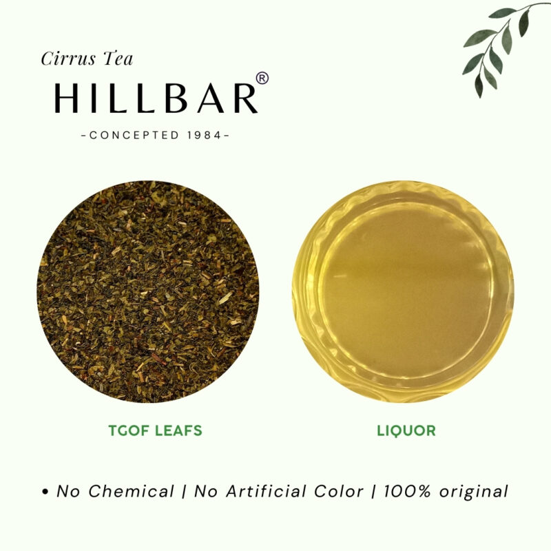 PURE GREEN TEA BAGS - Image 6