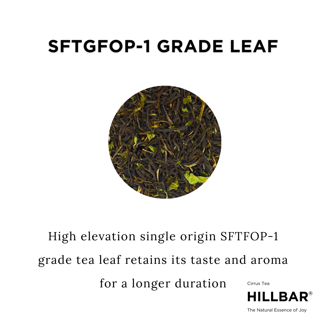 Tulsi (Basil) - Image 4