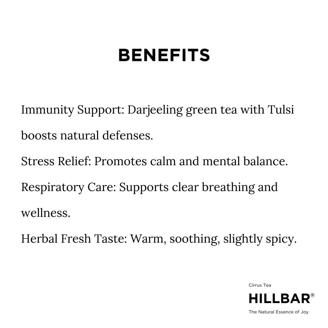 Tulsi (Basil) - Image 6