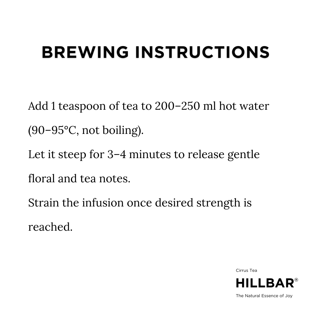 Tulsi (Basil) - Image 7